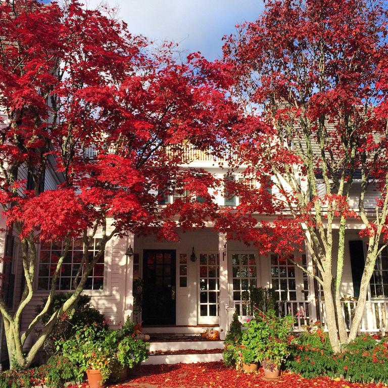Hob Knob Hotel Edgartown Ngoại thất bức ảnh